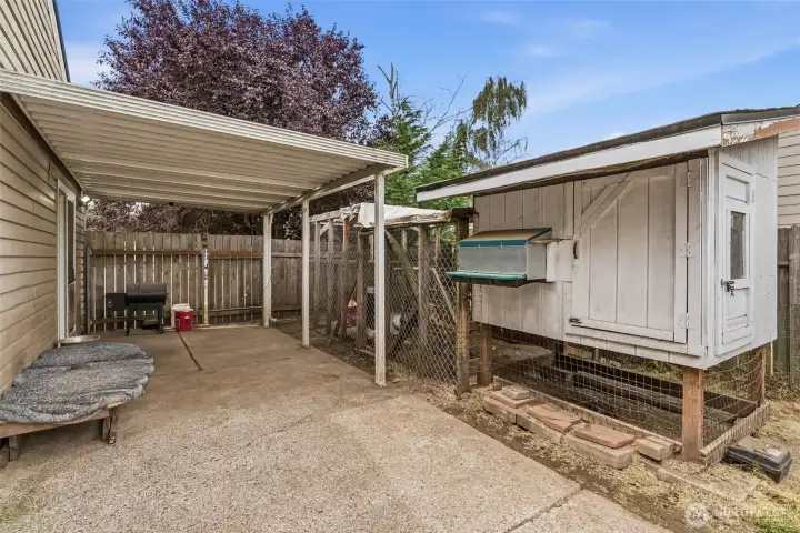 Chicken Coop
