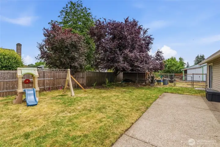 Backyard