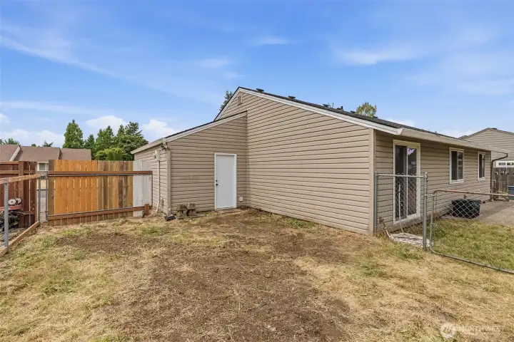 Backyard