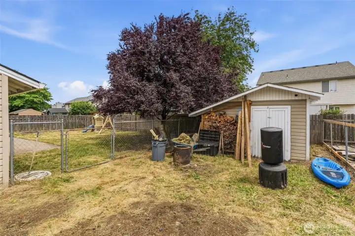 Backyard