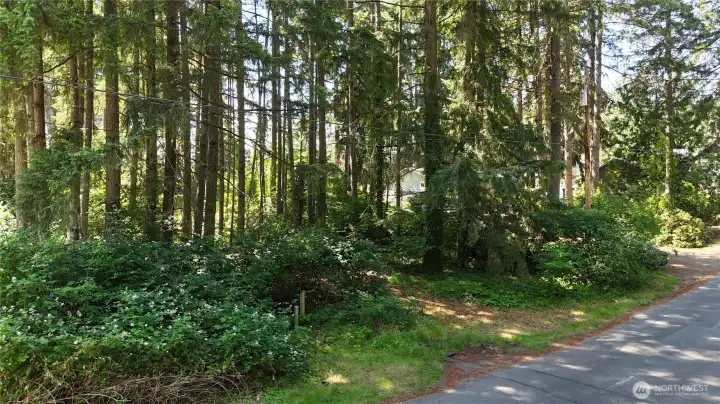 Private, yet easily accessible. Approximate SE Property corner on far left.