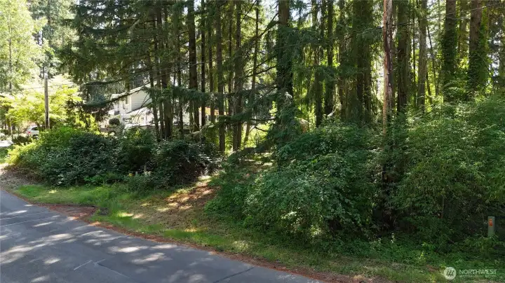 Approximate NE property corner on far right.