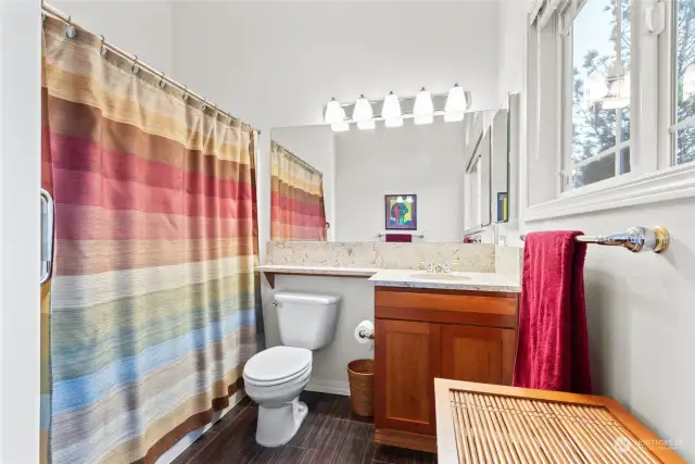 Newer vinyl plank flooring, countertop, sink and lighting in the second bathroom.