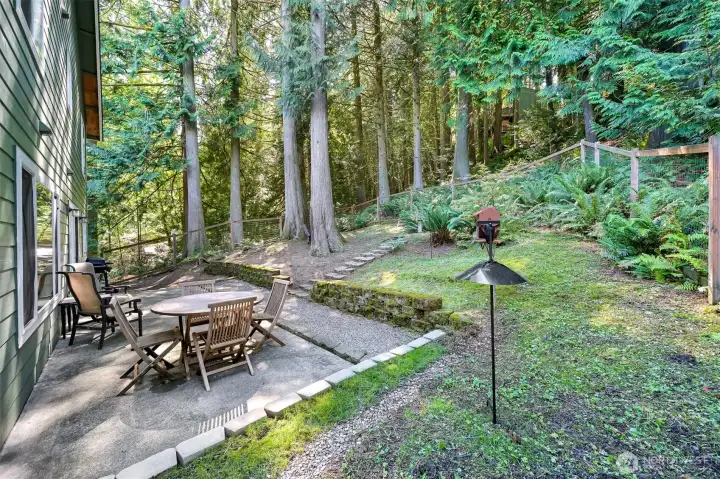 Backyard Oasis