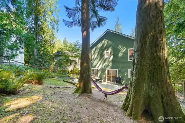 Hammock anyone?