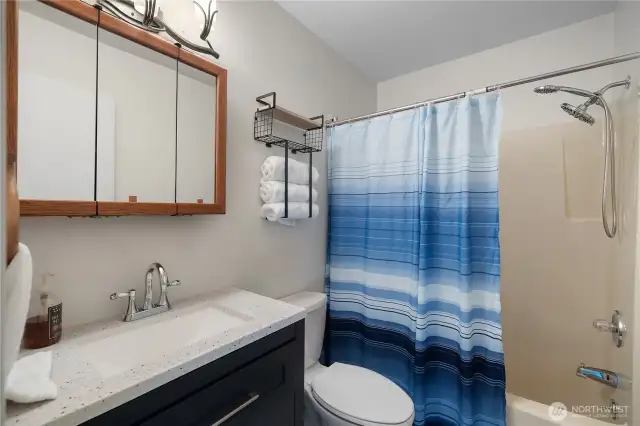 Full guest bath with shower and tub. New Vanity