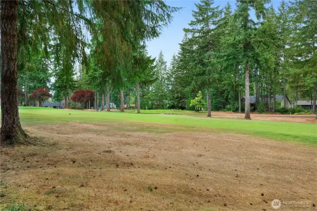 Look at that fairway come and hit a ball.