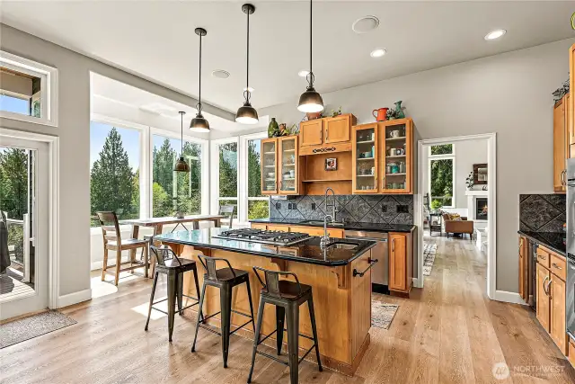 Large gourmet kitchen