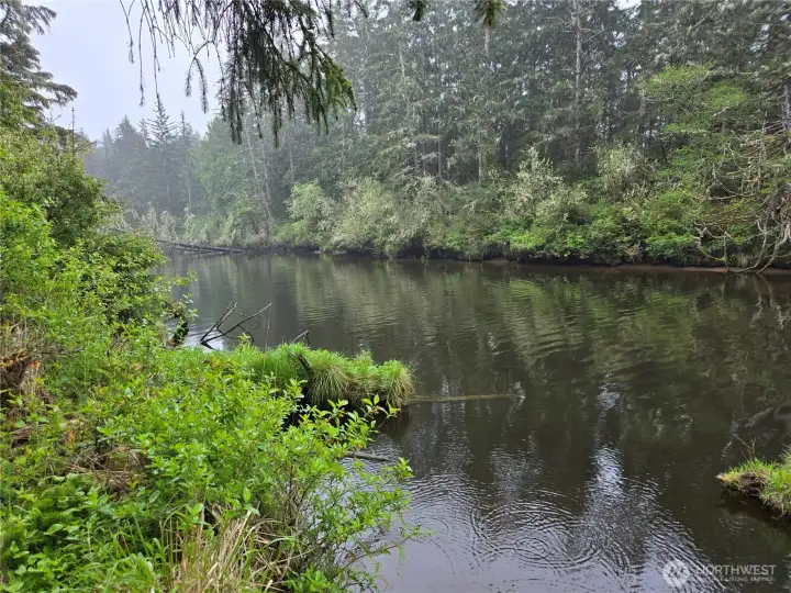 Joe Creek