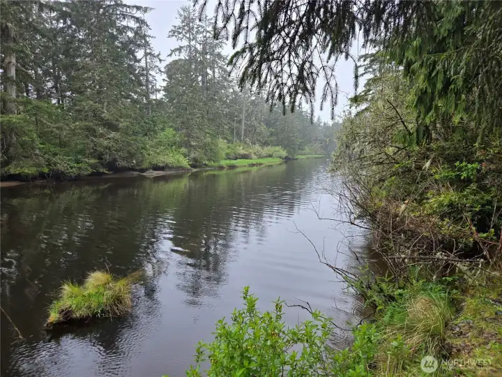 Joe Creek
