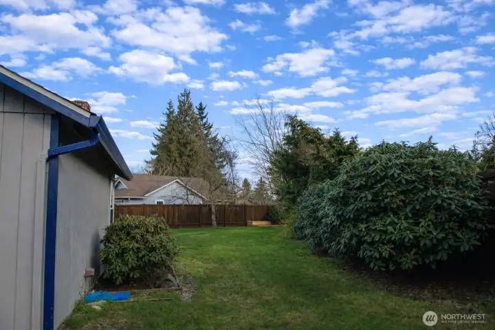 Backyard looking towards the raised beds and fruit trees.