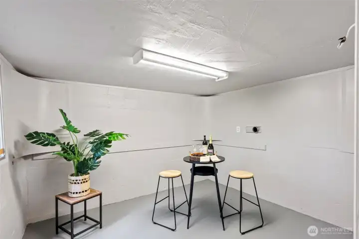 Bonus room/ den in basement