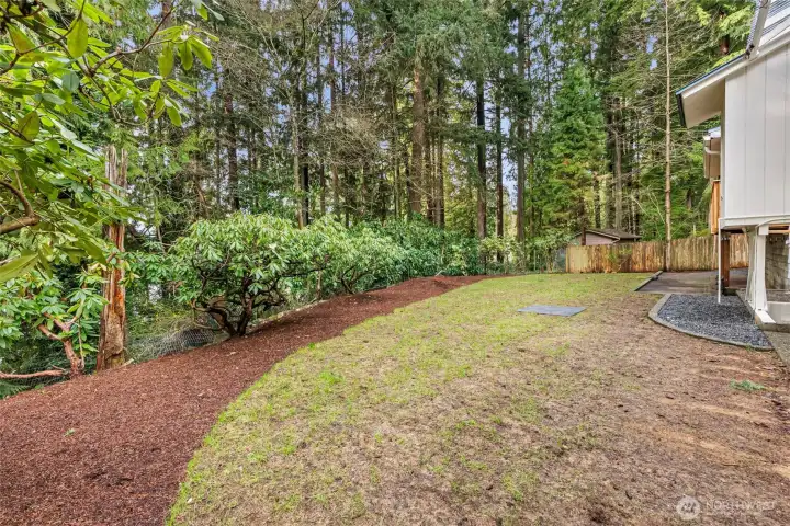 Back yard from the south