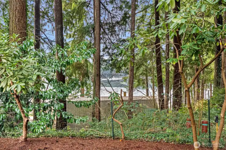 Views of Ostrich Bay