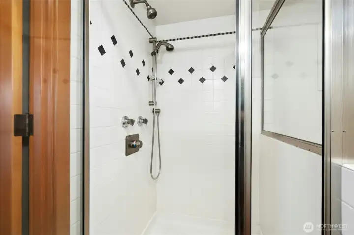 Lower level bathroom