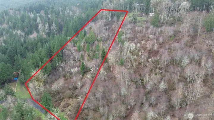 Property has access to the upper portion from Clearwater rd and the lower portion from Libby Lane