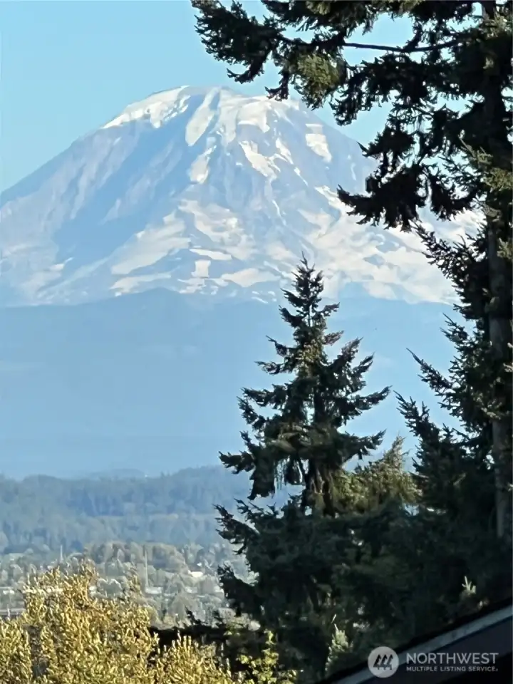 View from the back deck