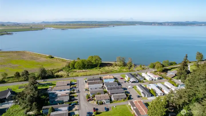Fantastic access to the Padilla Bay Shore trail just across the street!