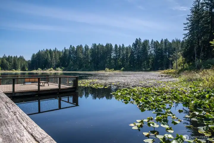 Most gorgeous Yellow Lake trail.