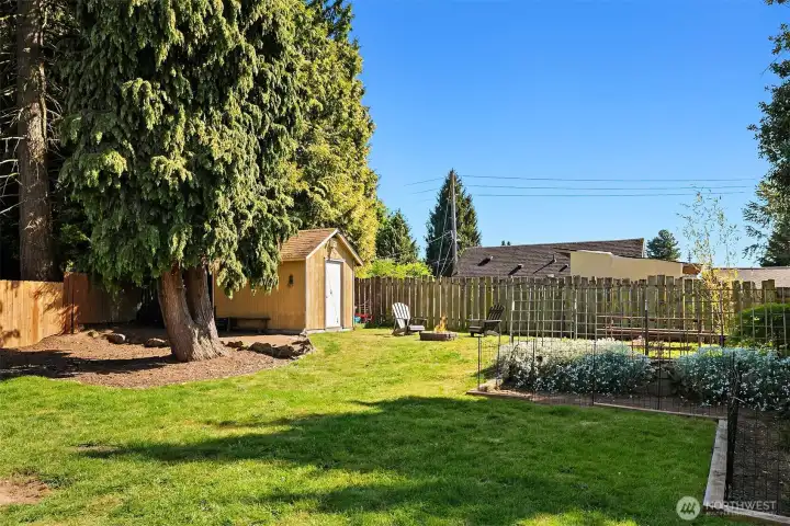 Huge, fully fenced, peaceful backyard with large shed