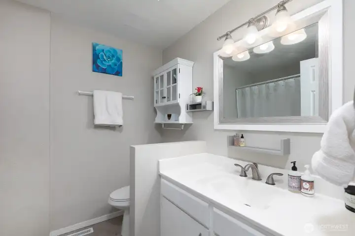 Hall Bath (Main Home)