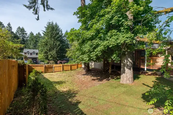 Backyard area views.