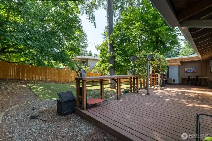 Another view of backyard deck.
