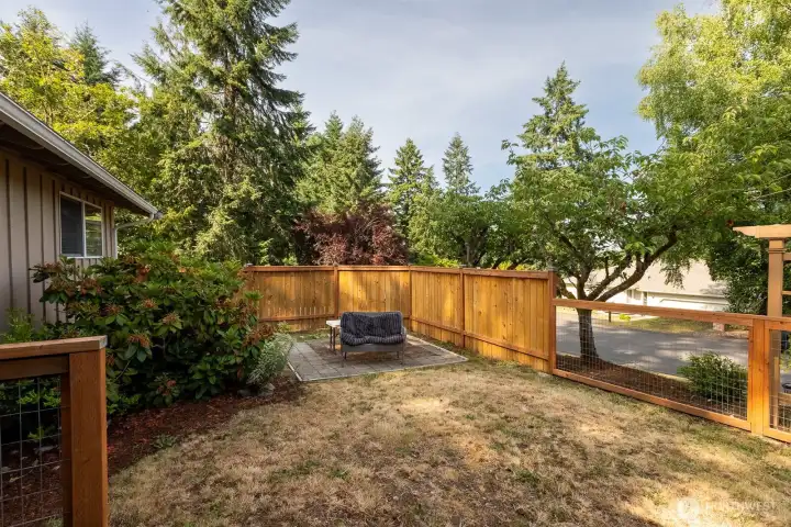 Front yard.