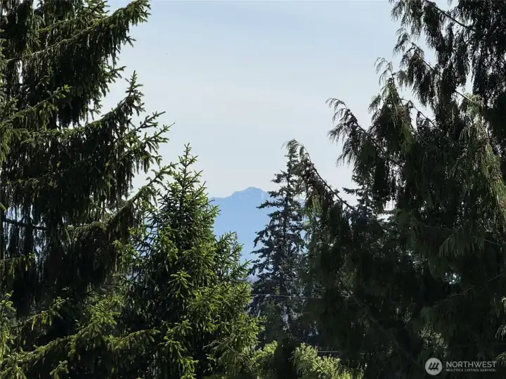 Mountain views from decks