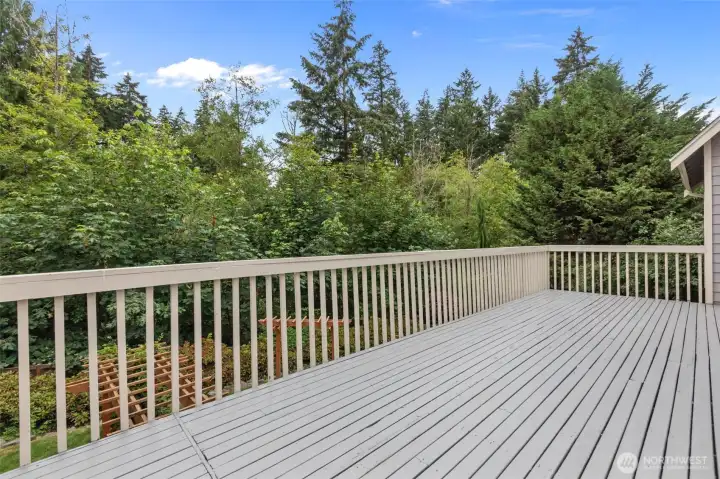 A private backyard retreat designed for relaxing and entertaining.