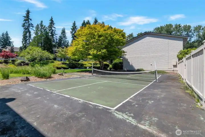 Pickleball court