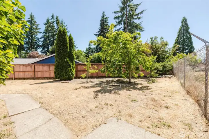 Large yard with so much potential Large yard with so much potential