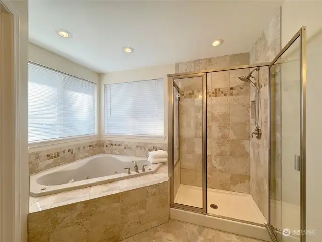Primary bathtub and walk in shower