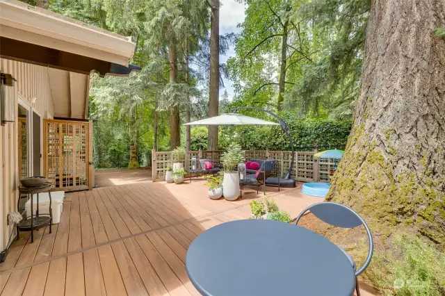 Incredible Private, Fully Fenced, Backyard Oasis with Beautiful Trex Deck