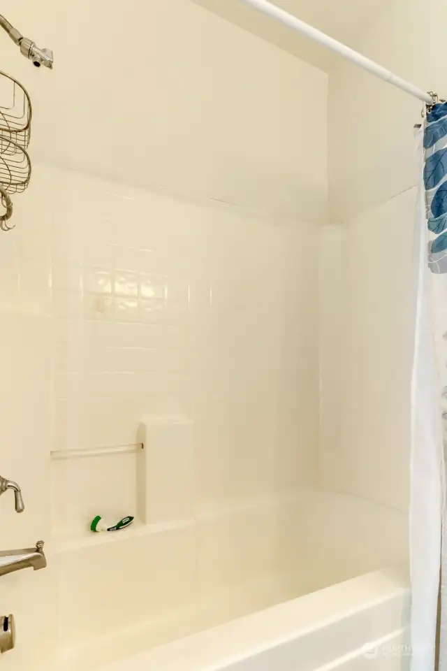 Main Bathroom shower/tub