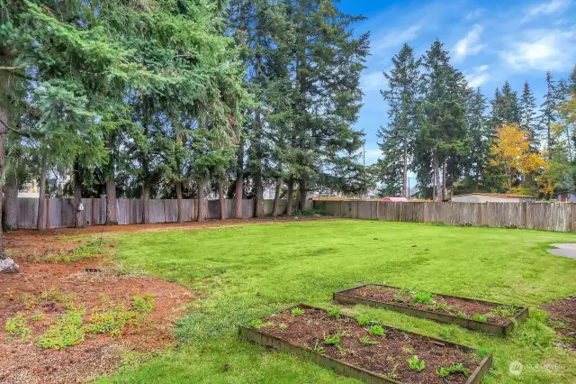 Spacious back yard with raised garden beds.