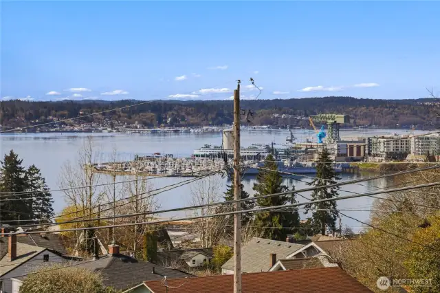 View from deck