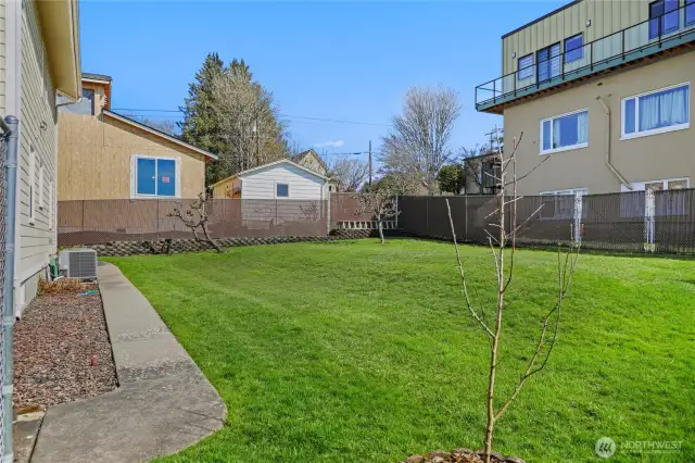 Oversized backyard