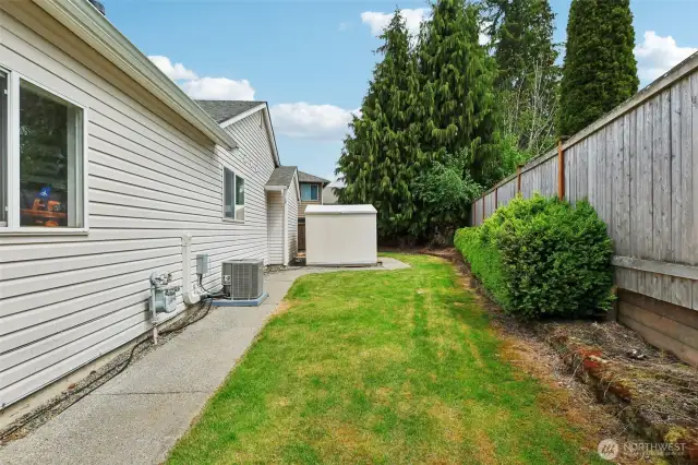 Backyard facing the shed