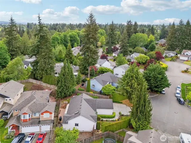 Aerial view showcasing the culdesac - Bottom of picture shows Cherry and Plum tree