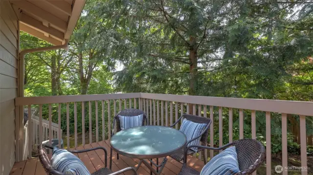 This outdoor deck offers stunning views of surrounding trees and abundant sunlight, making it the perfect spot to enjoy your morning coffee