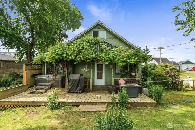 Covered porch with grapes