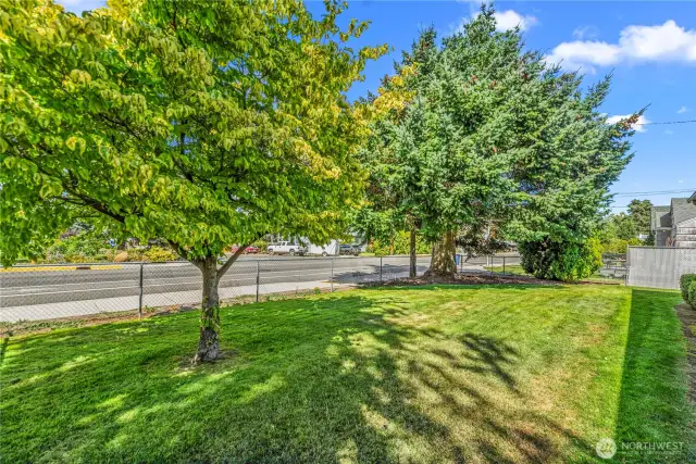 Side yard