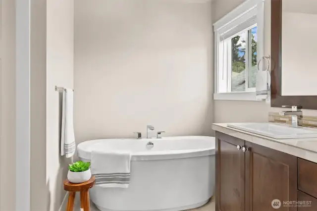 Primary freestanding tub