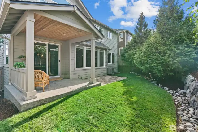 Back yard