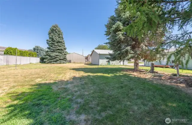 Large back yard.