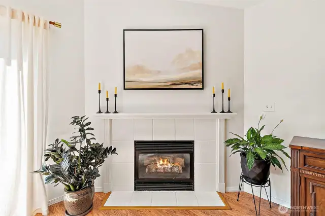 Cozy Gas Fireplace