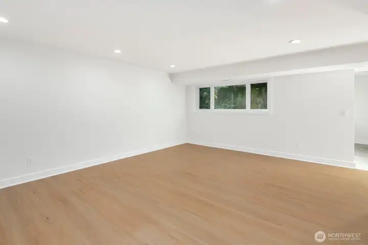 lower level family room