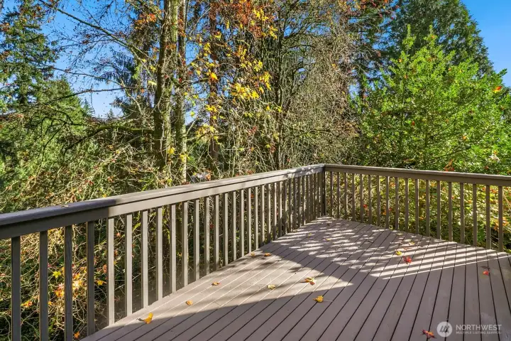 beautiful deck views