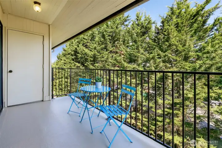 The oversized balcony offers enough room for a sitting area & planter boxes. It is a lovely place to hang out after work or on weekends. Behind the door is a good size storage room.